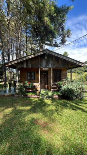 Cabana da cerveja